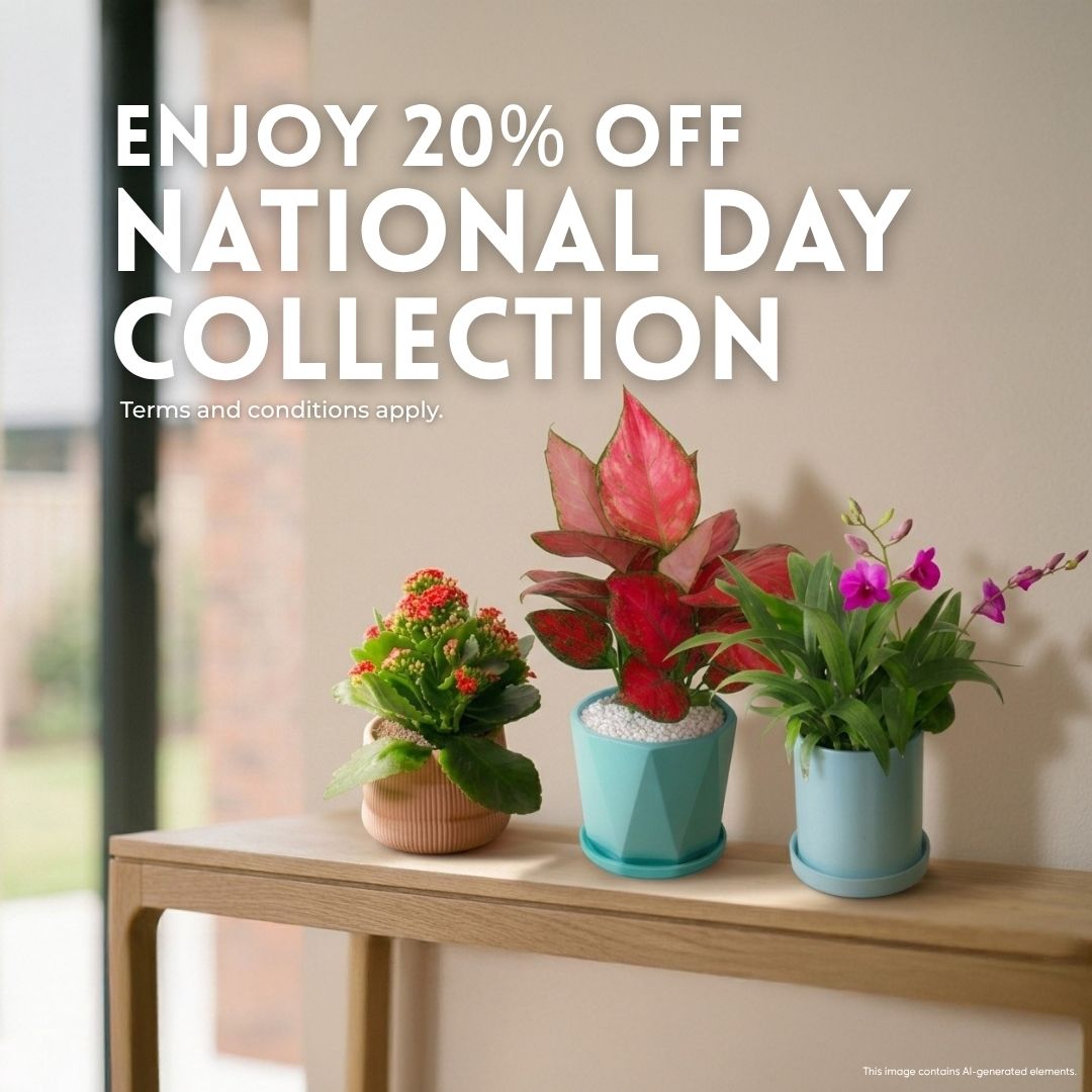 National Day Collection (eShop)